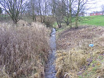 Millers Brook.jpg