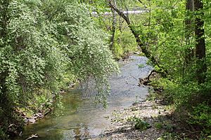 Montour Run looking downstream