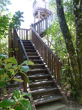 Motuara Island lookup tower.jpg