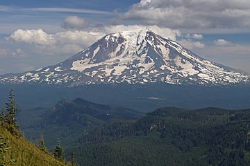 Mount Adams 3503s.JPG