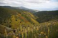 My Public Lands Roadtrip- Carrizo Plain National Monument in California (18708588658)