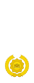 Myanmar officer rank insignia 6.png