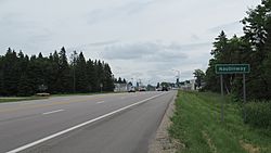 Naubinway, MI road signage