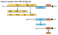 OPSR.Virga.Fig17.v4