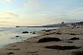 Pacific Beach Crystal Pier