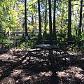 Picnic table at Cypress Lake edge