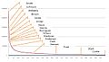 Power law surnames