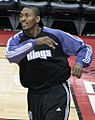 Ron Artest