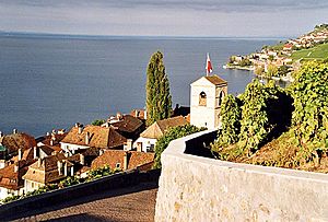 Saint-Saphorin Lavaux