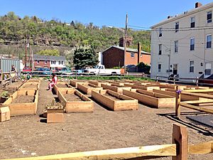 Sharpsburg Community Garden (2)