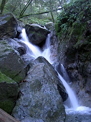 SugarloafSPWaterfall2887.jpg