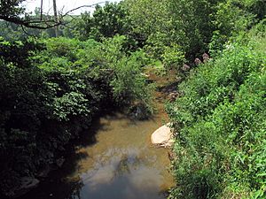 Tygart Creek WV.jpg