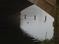 Under Serpentine Bridge