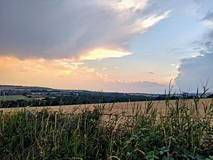 Ushaw Moor Field.jpg