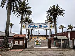 photo of Garden Street gate