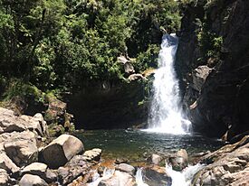 Wainui Falls.jpg