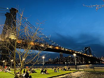 Williamsburg Bridge and Domino Park