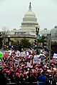 Womens March on Washington