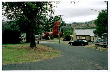 Wyangala village center.jpg