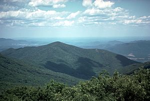 Appalachians NC BLRI9242