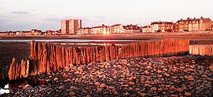 Bare Beach & Promenade.jpg