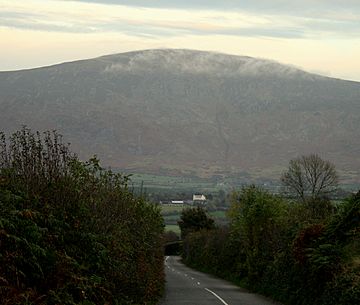 Blackstairs3.jpg