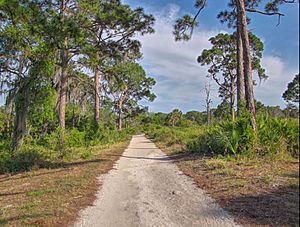 Boyd Hill Nature Preserve