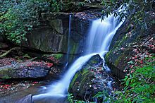 Cedar Rock Creek Falls.jpg