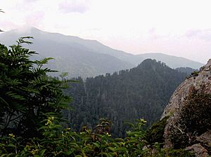 Charlies-bunion-mount-leconte