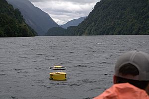 Deep Cove Buoy