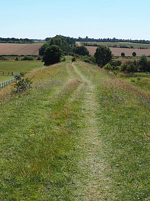 Devil's Dyke Newmarket 