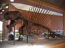 Dimetrodon.jpg