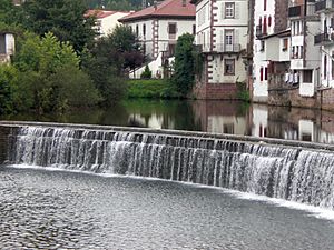 El río y Elizondo