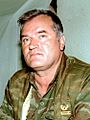 Evstafiev-ratko-mladic-1993-w