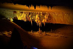 Forbidden Caverns 3