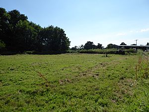 Geldeston Meadows 4.jpg