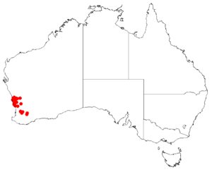 Hakea anadeniaDistMap7.png