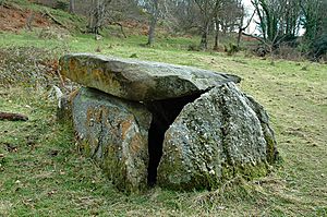 Haylie Cairn