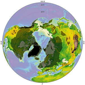 Iceage north-intergl glac hg