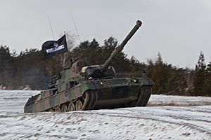 Leopard in the Snow