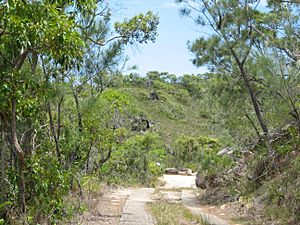 Lighthouse path