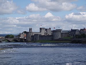 Limerick castle