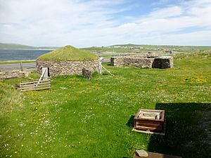 Old Scatness Broch (geograph 3561767).jpg