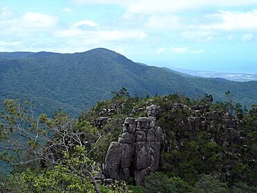 Paluma - panoramio.jpg