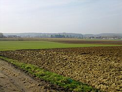 Paysage champêtre à Grez-Doiceau (7).jpg