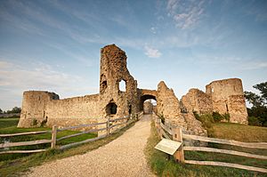 Pevensey castle-09