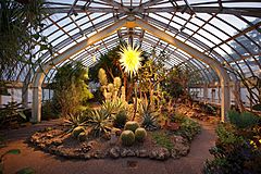 Phipps Conservatory Desert Room