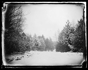 Prospect Park, Brooklyn, 1880. (5832926707)