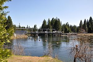 Rogue Prospect diversion dam