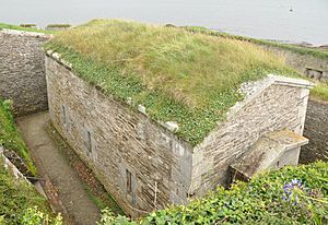 St Mawes Castle 7